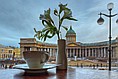 Панченко_тест_каталог