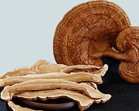 Ганадерма слайсы уникальный гриб Линчжи (Рейши) 500гр
