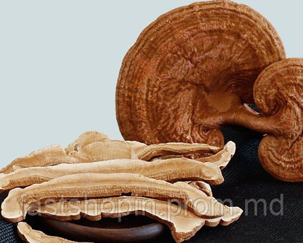 Ганадерма слайсы уникальный гриб Линчжи (Рейши) 500гр - фото 1 - id-p9021518