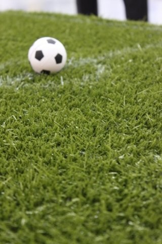 Искуственная трава для футбольного поля - фото 1 - id-p69393