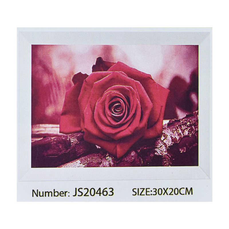 Алмазная мозаика JS 20463 (50) в коробке 30х20 - фото 1 - id-p9132845