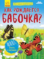 Гр Моя первая энциклопедия: Как рождается бабочка? Л807007Р (20) RANOK