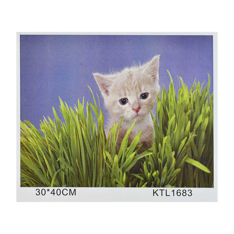 Картина по номерам KTL 1683 (30) в коробке 40х30 - фото 1 - id-p9136016