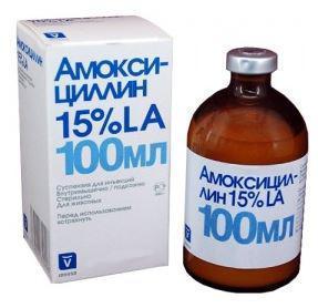 Амоксициллин 15% Invesa, 100мл - фото 1 - id-p9150843