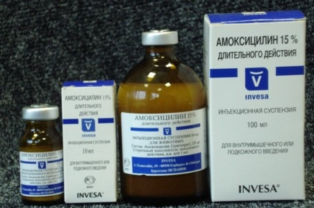 Амоксициллин 15% Invesa, 10мл - фото 1 - id-p9150975