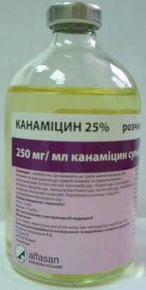 Канамицин 25%, 100мл - фото 1 - id-p9150994