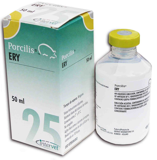 Вакцина Порцилис ERY инак 25д (50мл) - фото 1 - id-p9151127