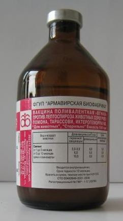 Вакцина поливалентная против лептоспирозу свиней, 100мл 17доз - фото 1 - id-p9151451
