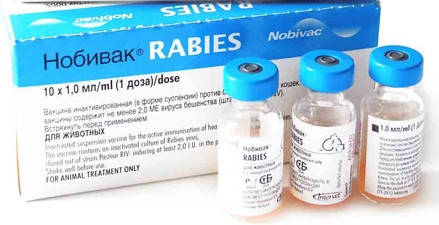 Вакцина nоbivac rabies - фото 1 - id-p9151501