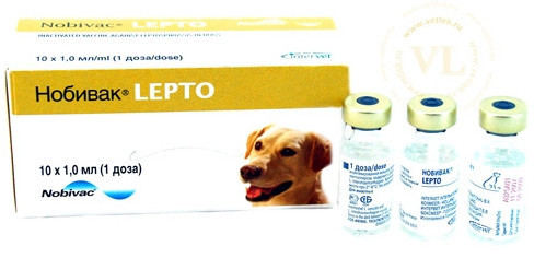 Вакцина nobivac lepto - фото 1 - id-p9151502