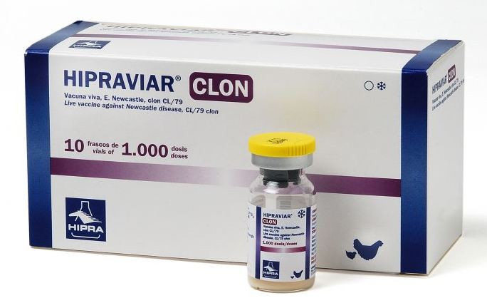 Вакцина Хиправиар-clon, 1000доз - фото 1 - id-p9151585