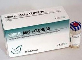 Вакцина Нобилис МА 5 сlone 30 - фото 1 - id-p9151801