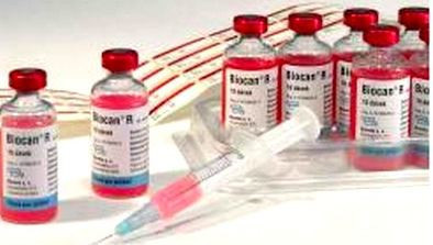Вакцина Биокан-R, 1мл - фото 1 - id-p9151922