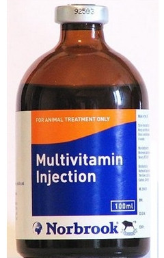 Мультивитамин, 100мл - фото 1 - id-p9151931