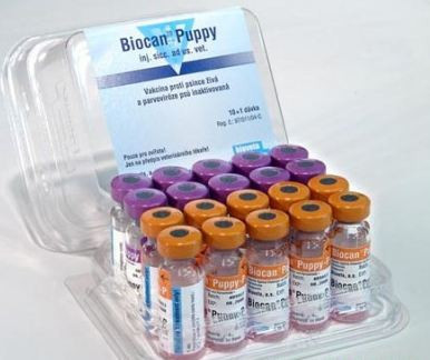 Вакцина Биокан puppy, 1мл - фото 1 - id-p9151947