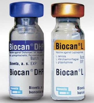 Вакцина Биокан DHPPI+L, 1мл - фото 1 - id-p9151949