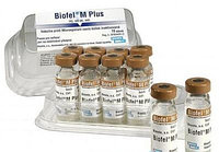 Вакцина Биофел-М плюс против микроспории кошек №1