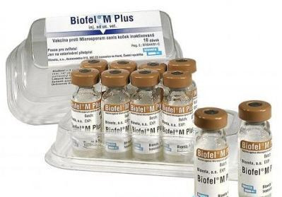 Вакцина Биофел-М плюс против микроспории кошек №1 - фото 1 - id-p9151964