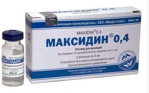 Максидин ин. 0,4%, 5мл - фото 1 - id-p9152134