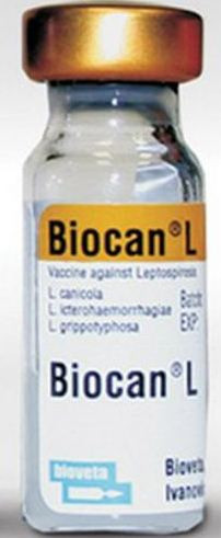 Вакцина Биокан-L, 1мл - фото 1 - id-p9152136