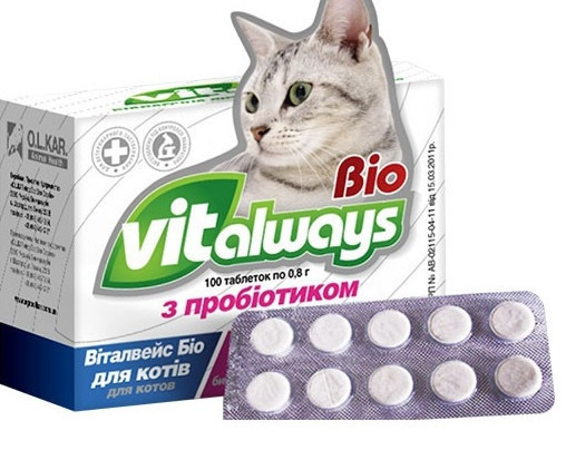 Виталвейс-био№100 блистер с пробиотиками для котов - фото 1 - id-p9152271