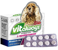 Виталвейс-био №100 блистер с пробиотиками для собак