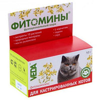 Витамины Фитомины с фитокомплексом для кастрированых котов №100