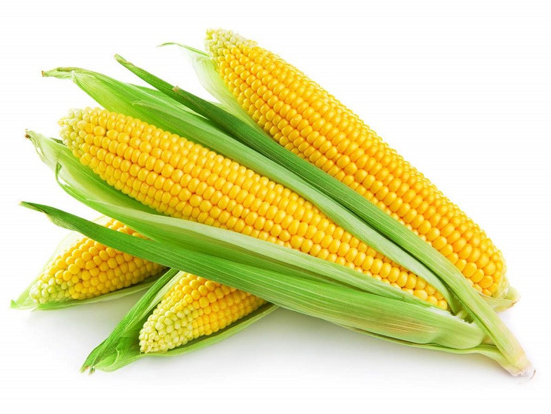 Семена кукурузы высокого качества. Лучшие цены в Приднестровье! - фото 1 - id-p9176084