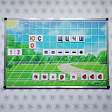 Магнитная доска с обучающими магнитами, фото 4