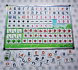 Магнитная доска с обучающими магнитами, фото 5