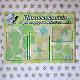 Стенд Циклова комісія, фото 3