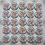 Значок нагородний Спортивна родина, фото 2