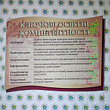 Комплект стендов для методического кабинета школы, фото 3