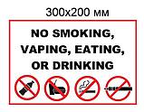 Наклейка "Не курить, не вейпить, не есть, не пить" (На английском языке), фото 2