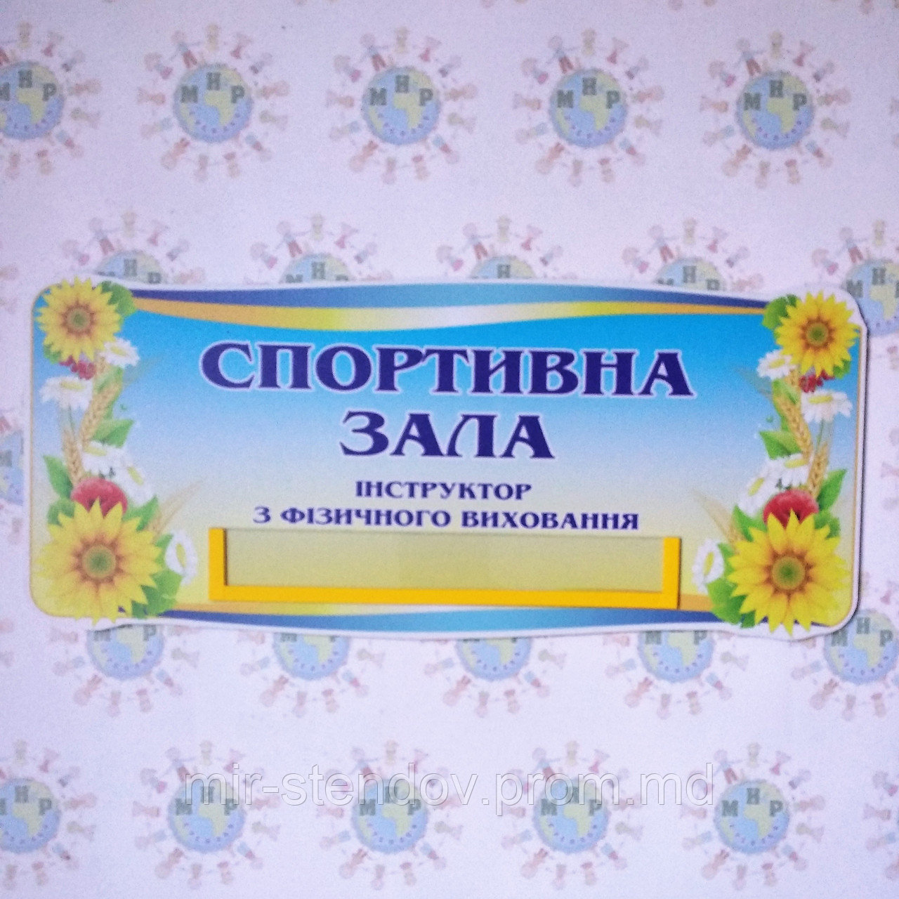 Табличка Спортивный зал. Инструктор, фото 1