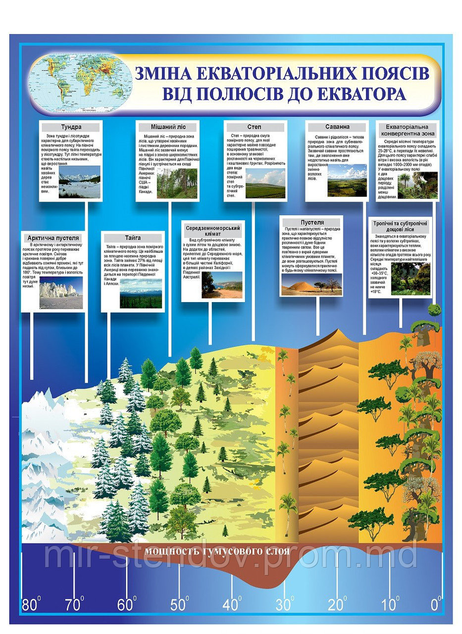 Плакат Экваториальные пояса, фото 1