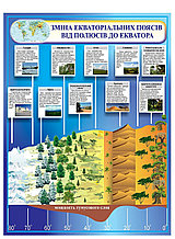 Плакат Экваториальные пояса