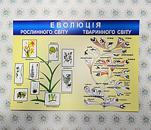 Плакат з Біології Еволюція тваринного і рослинного світу
