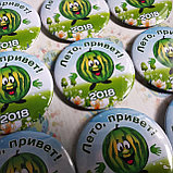 Значки с изображением арбуза, фото 2
