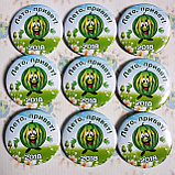 Значки с изображением арбуза, фото 3