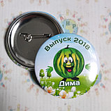 Значки с изображением арбуза, фото 4
