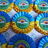 Значок з розеткою Першокласник НУШ, фото 2