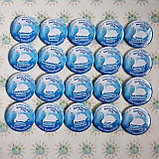 Значки для выпускников группы Лебедушка (Лебідка), фото 3