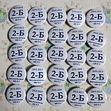 Маленькие значки на портфель для второго класса, фото 3