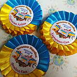 Выпускник младшей школы. Значок с розеткой Символика, фото 2