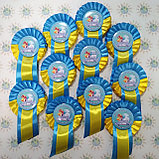 Значок Выпускник с розеткой. Ленты на выпускной, фото 4