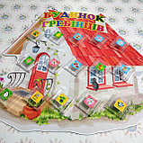 Стенд для расчёсок «Расческин дом», фото 3