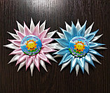 Значок для выпускника или первоклассника с розеткой Гвоздика, фото 4