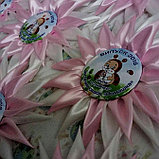 Значок для выпускника или первоклассника с розеткой Гвоздика, фото 7