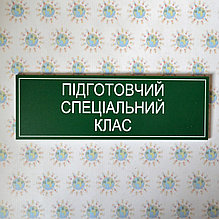 Табличка подготовительный специальный класс
